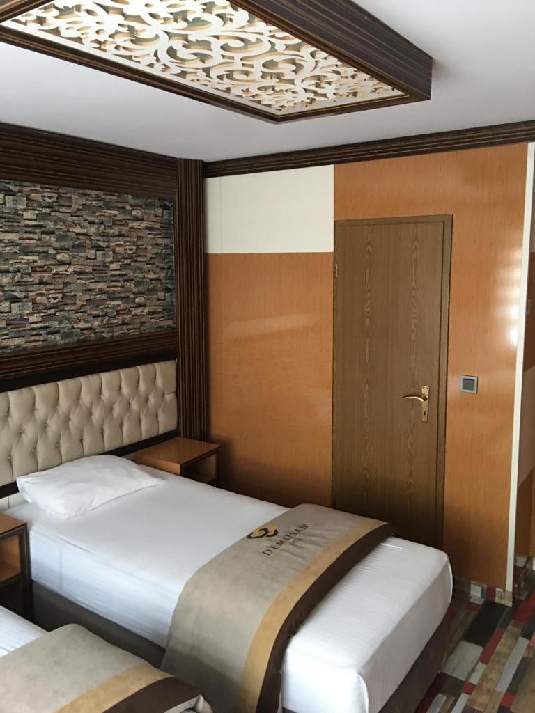 Hotel Demosan *